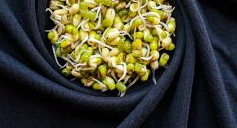 Wat zijn Kiemgroenten?