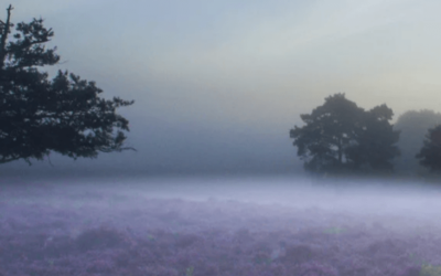 YOGA WORKSHOP BEWUST BEWEGEN