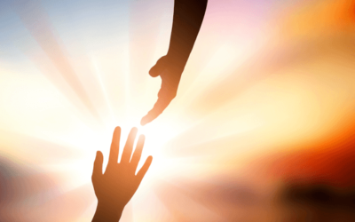 Feestdagen Mei – Aangepaste openingstijden